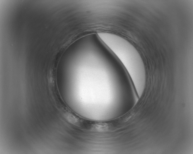 X0000071910317200607070952