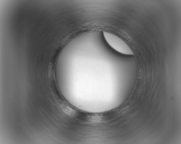 X0000071910318200607070952