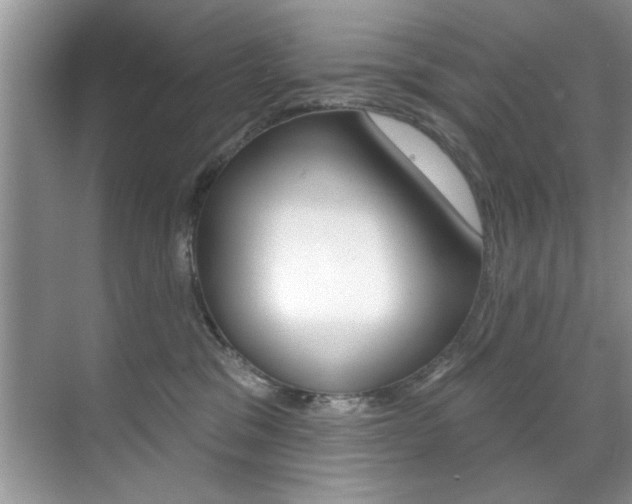 X0000071910329200607070952