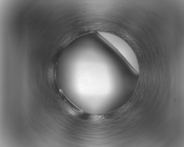 X0000071910333200607070951
