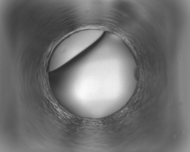 X0000071910337200607070951