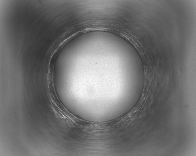 X0000071910338200607070951