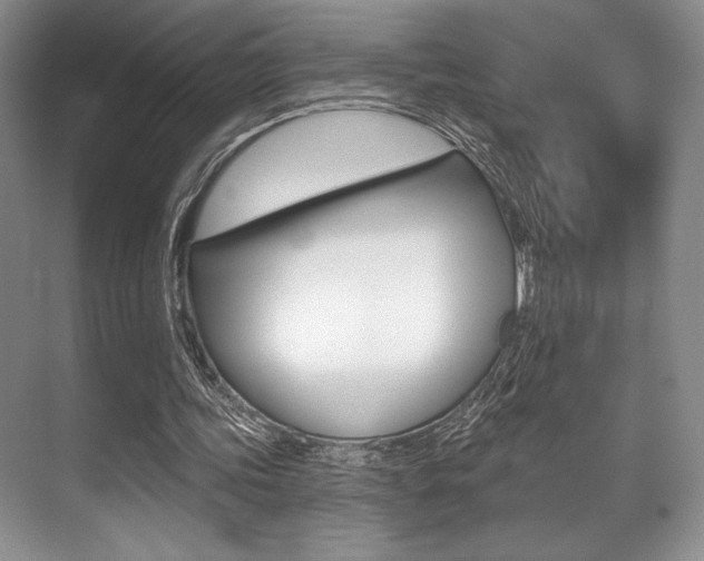 X0000071910339200607070951