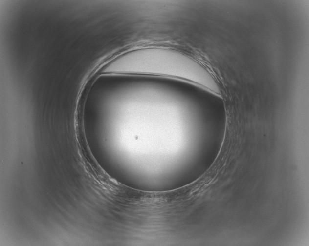X0000071910340200607070951