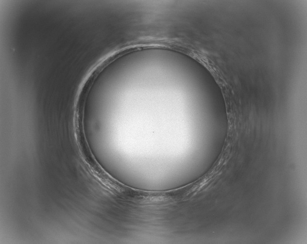 X0000071910342200607070951