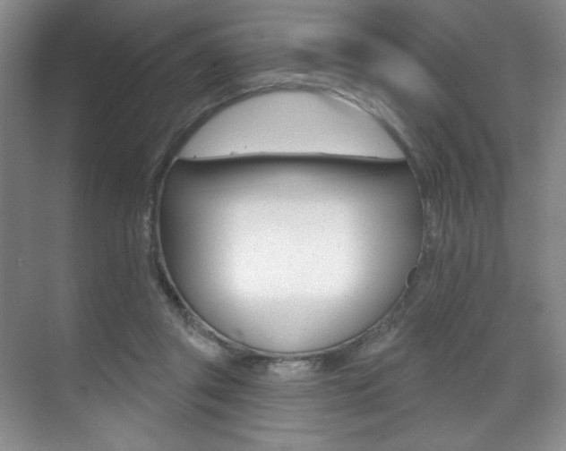 X0000071910357200607070951