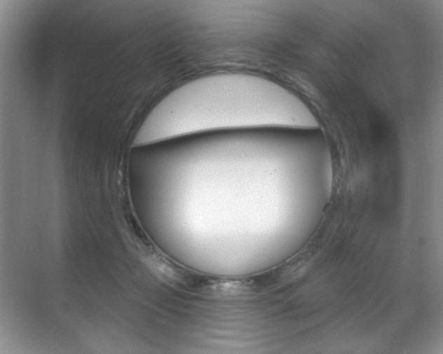 X0000071910365200607070951