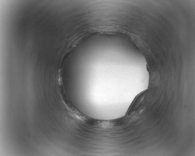 X0000071910383200607070951