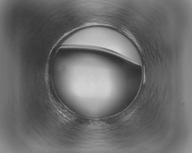 X0000071910387200607070951