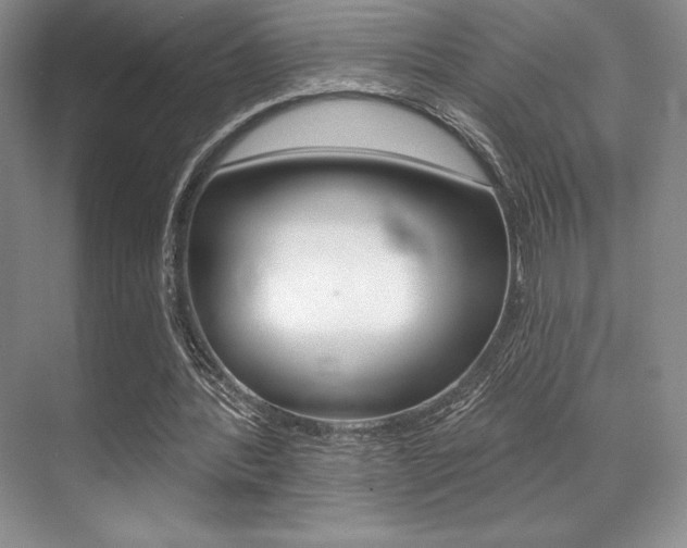 X0000071910388200607070951