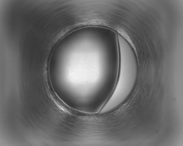 X0000071910389200607070951