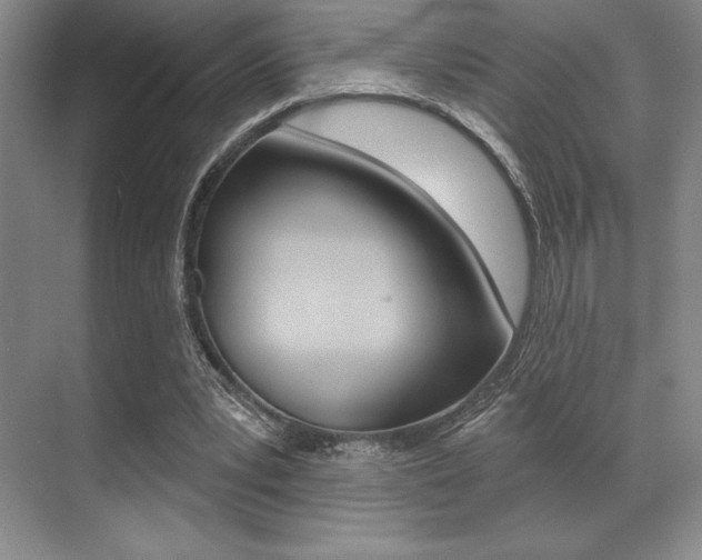 X0000071910391200607070950