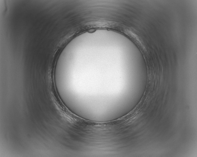 X0000071910394200607070950