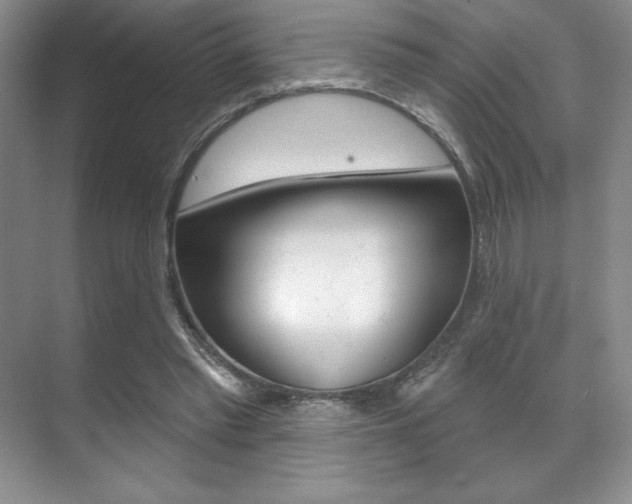 X0000071910397200607070950