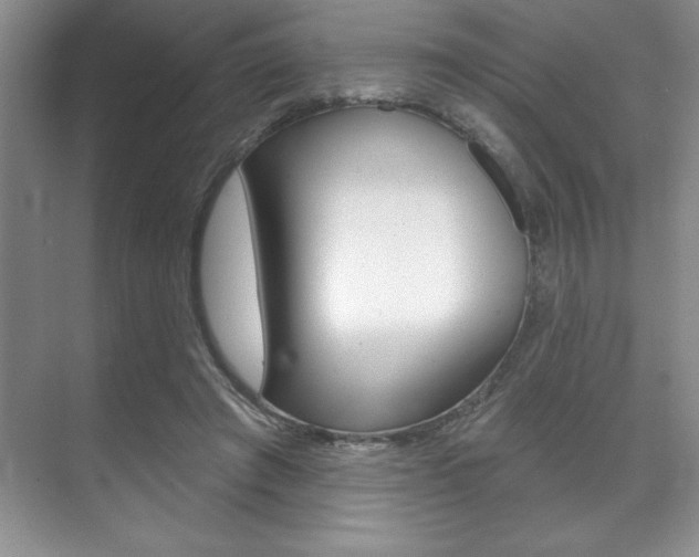 X0000071910401200607070950
