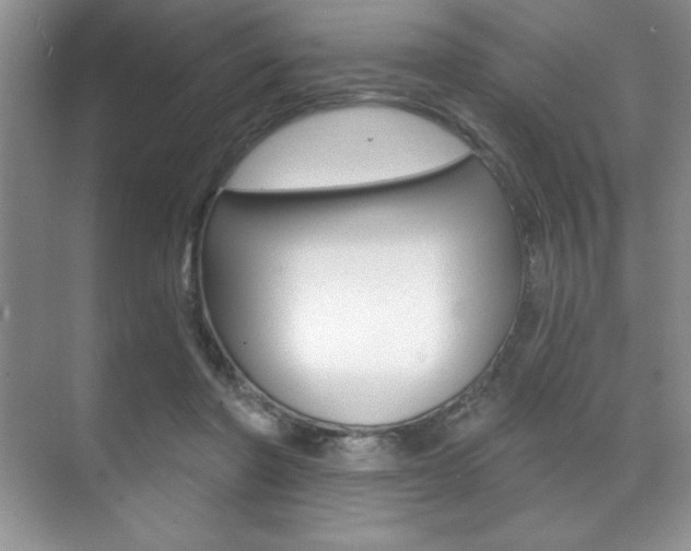 X0000071910406200607070950