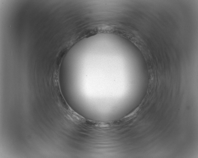 X0000071910419200607070950