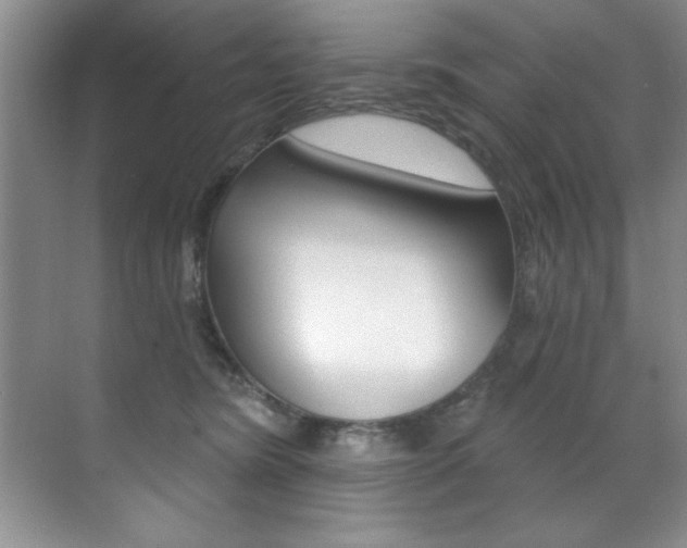 X0000071910420200607070950