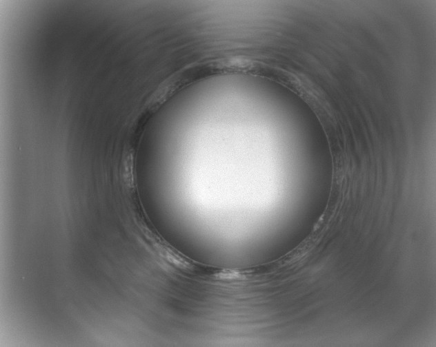 X0000071910425200607070950