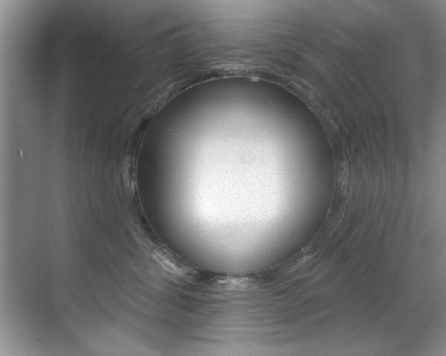X0000071910428200607070950