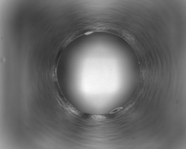 X0000071910429200607070950