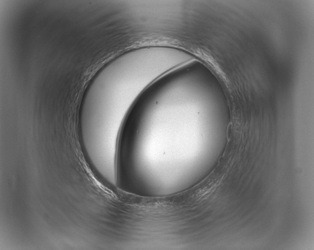 X0000071910433200607070949