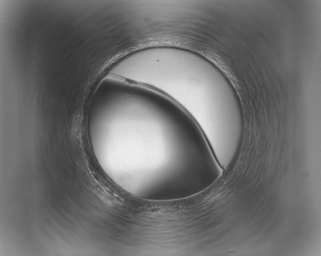 X0000071910434200607070949