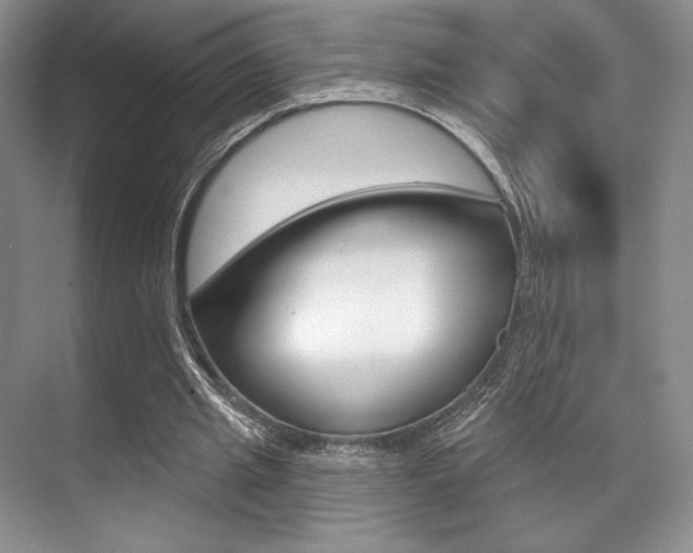 X0000071910437200607070949