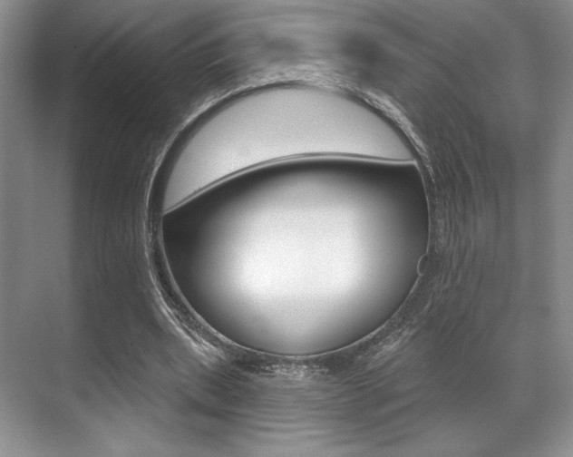 X0000071910439200607070949
