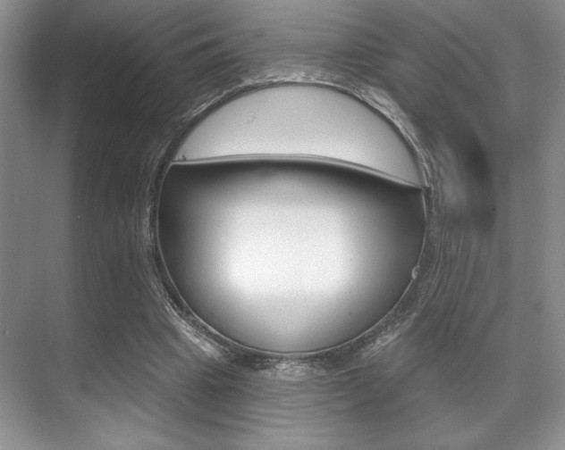 X0000071910441200607070949
