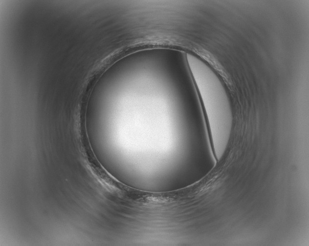 X0000071910442200607070949