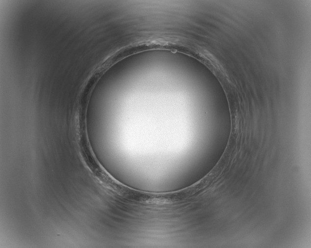 X0000071910444200607070949