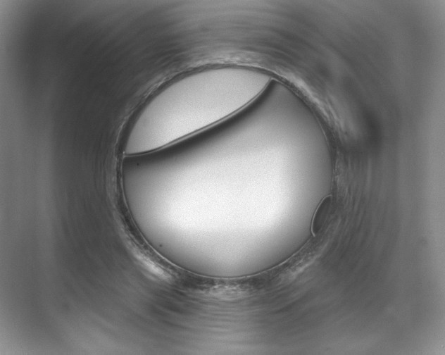 X0000071910445200607070949