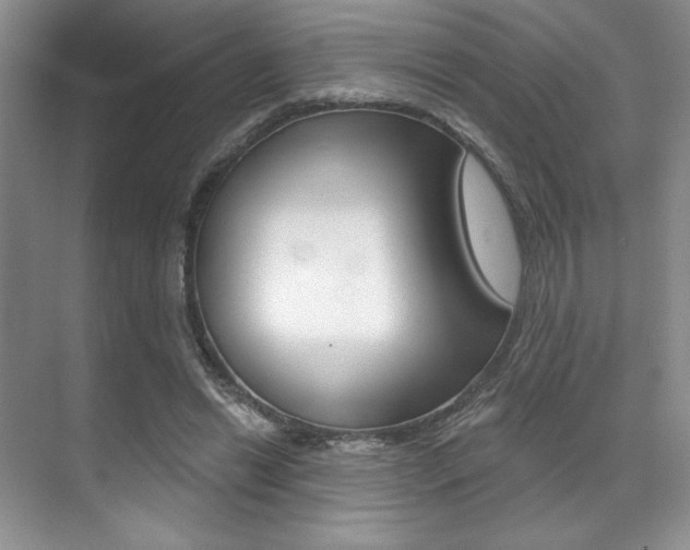 X0000071910446200607070949