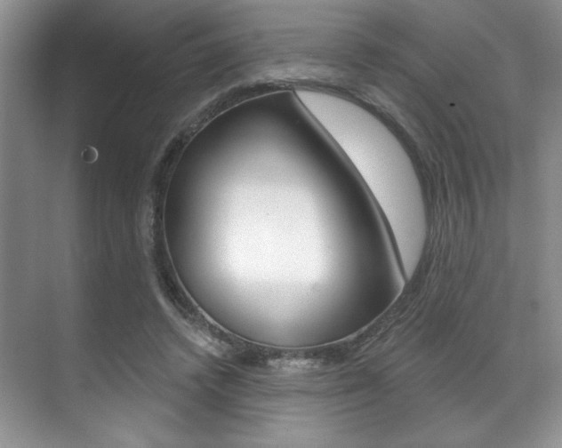 X0000071910448200607070949