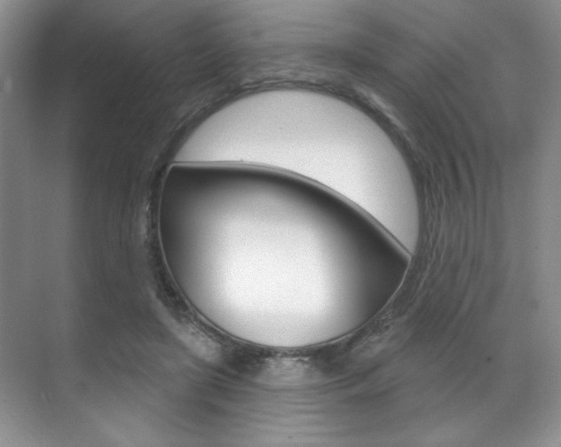 X0000071910451200607070949