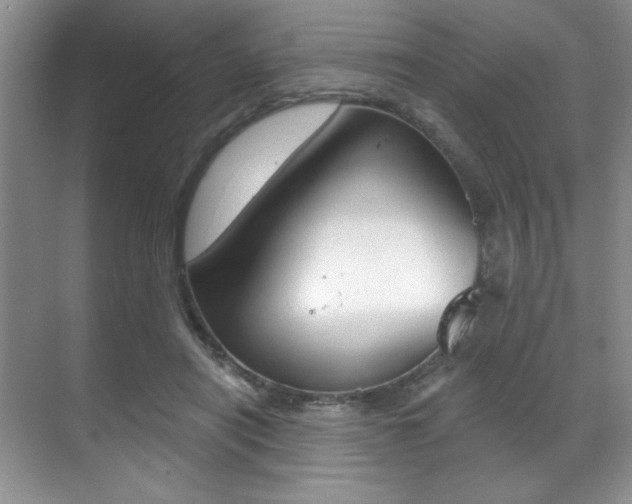 X0000071910454200607070949