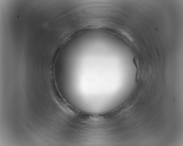 X0000071910455200607070949