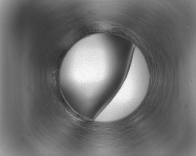 X0000071910462200607070949