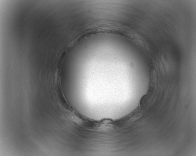 X0000071910463200607070949