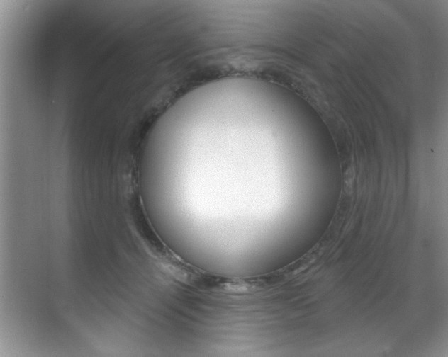 X0000071910464200607070950