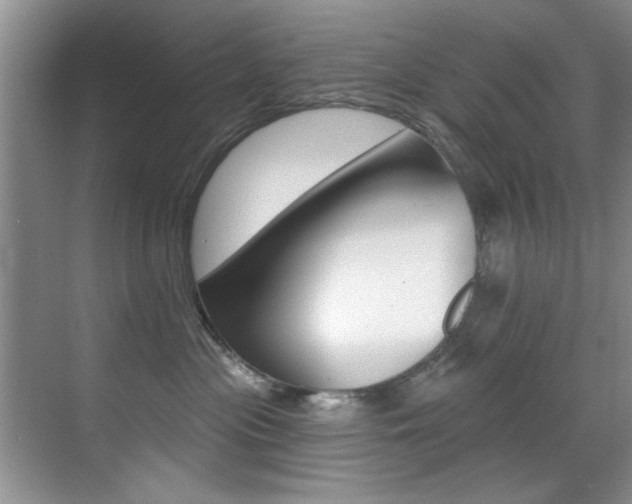 X0000071910477200607070950