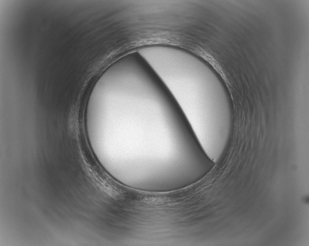 X0000071910482200607070949