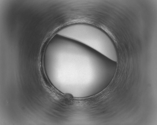 X0000071910486200607070949