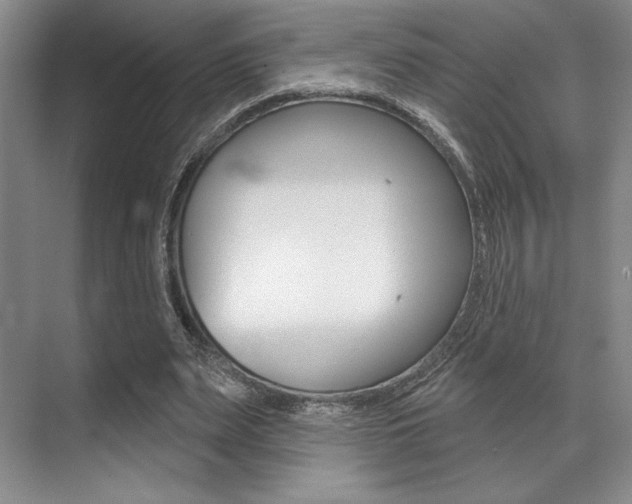 X0000071910487200607070949
