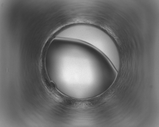 X0000071910488200607070949