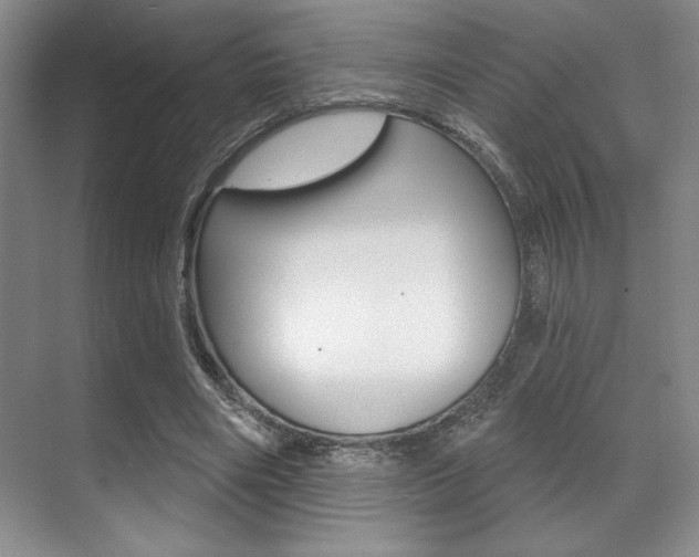 X0000071910490200607070949