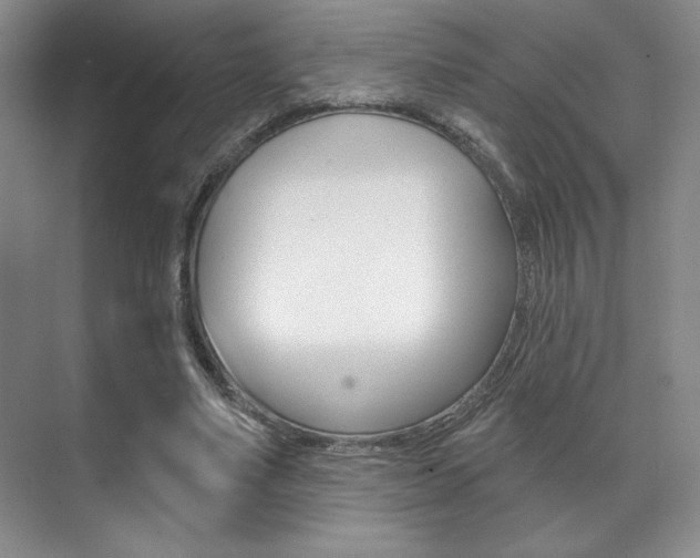 X0000071910491200607070949