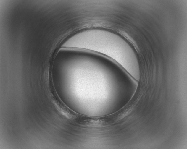 X0000071910493200607070949
