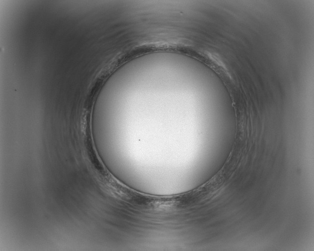 X0000071910495200607070949